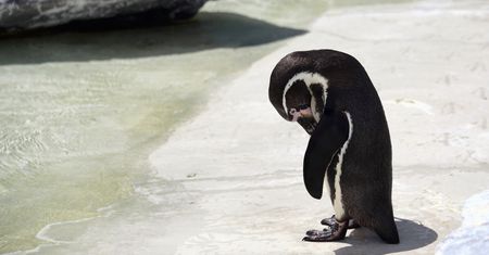 Linux 4.16 najszybszy, każdy kolejny obniża wydajność. Niestety, to dotyka większości