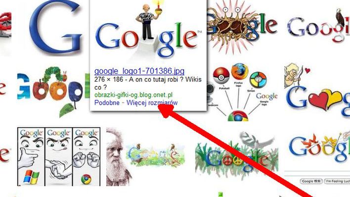 Google Images ściąga z Binga? 1