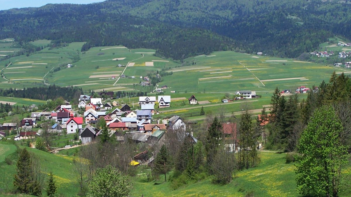 Lubań