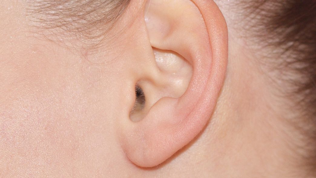 Pionowa bruzda na uchu może być objawem zapchanych tętnic