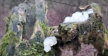 "Kosmiczna galareta". Tajemnicze zjawisko w Nowej Hucie