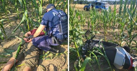 Złapali go w polu kukurydzy. Natychmiast trafi za kraty