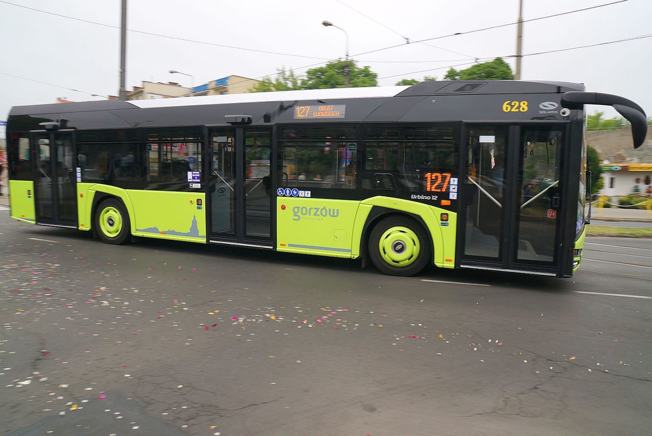 Gorzów Wielkopolski. Zaatakował kierowcę autobusu. Miał 1,5 promila (zdjęcie ilustracyjne)