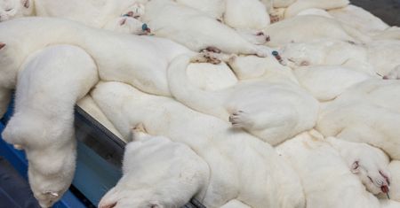 Nowa mutacja koronawirusa. Już 7 kraj zgłasza przypadki