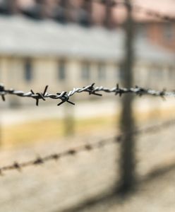 Swastyki na pomniku ofiar Holocaustu. Atak wandali w Grenoble