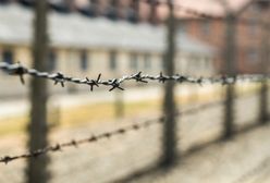 Swastyki na pomniku ofiar Holocaustu. Atak wandali w Grenoble