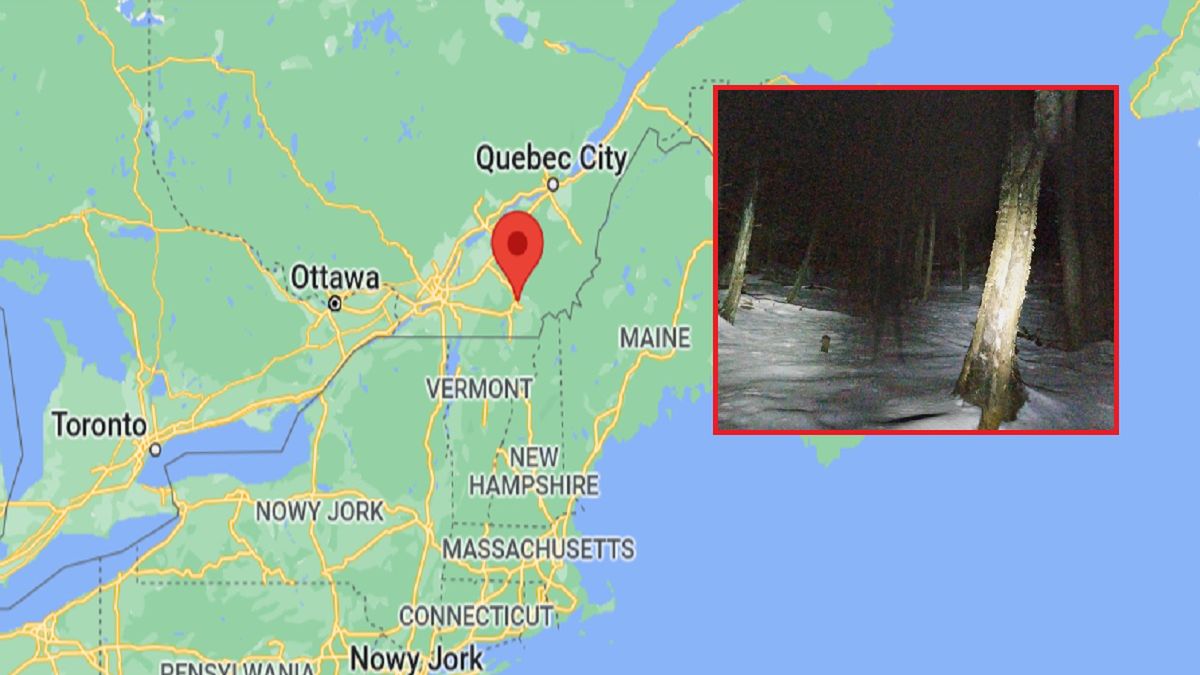 Zobaczył to na Google Maps i zaniemówił. Tajemnicza postać w środku lasu