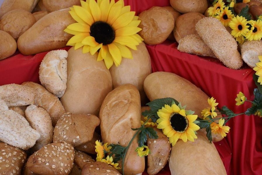 XII Święto Chleba na Rynku Nowego Miasta