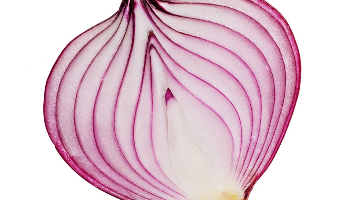 Cebula to jedno z najpopularniejszych warzyw na świecie. Charakteryzuje się intensywnym zapachem i smakiem, a jej właściwości lecznicze wykorzystywano już w średniowieczu. 