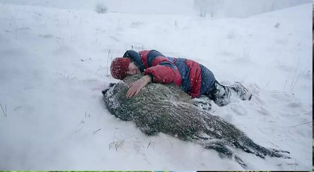 Już dziś film "Pokot"