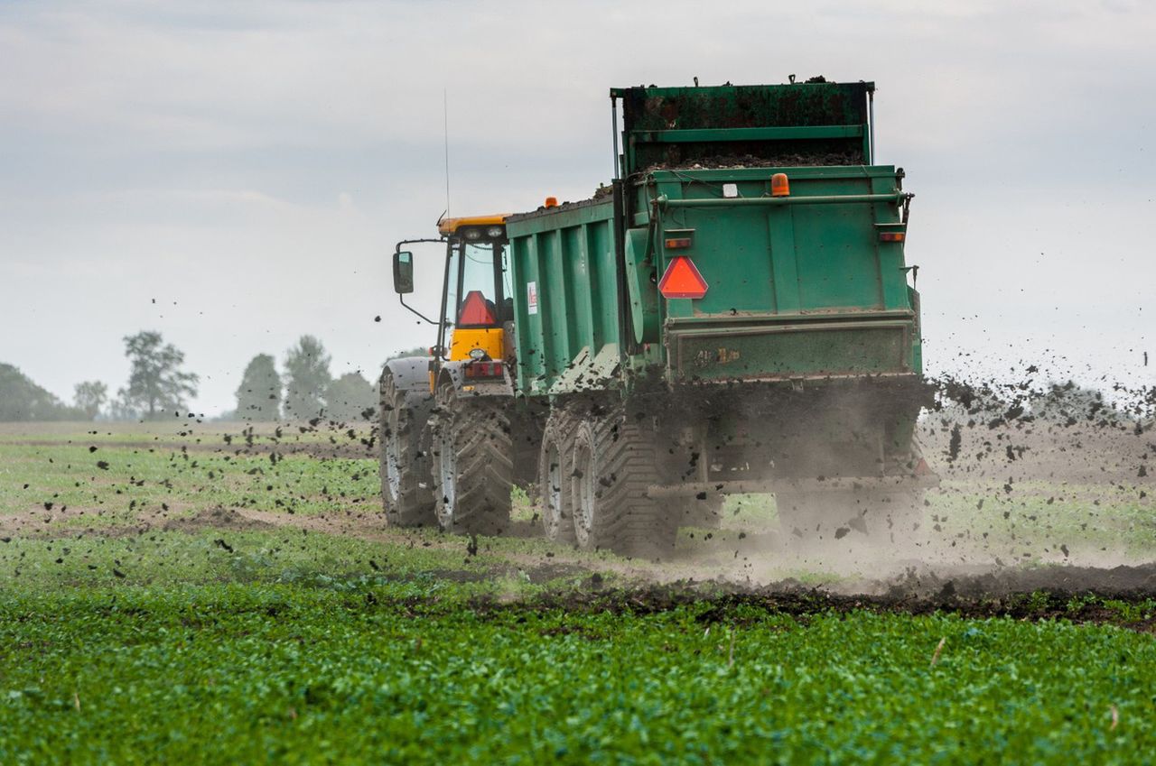 Rolnicy z Ukrainy już liczą straty. Wymarzły setki hektarów