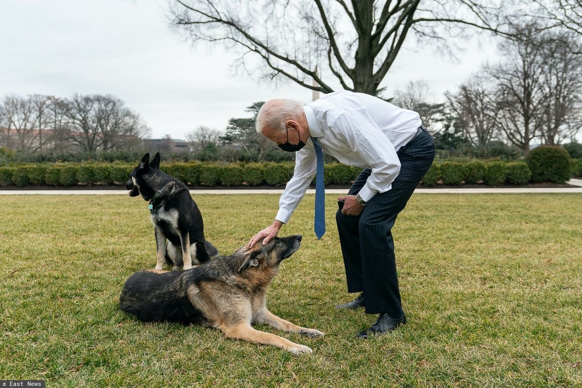 Joe Biden przekazał smutną wiadomość. Zdechł jego pies Champ. "Był wiernym kompanem uwielbianym przez całą rodzinę"