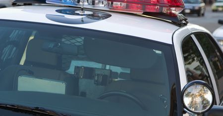 Operacja niedźwiedzi pazur. Oszuści skazani w Kalifornii