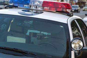 Operacja niedźwiedzi pazur. Oszuści skazani w Kalifornii