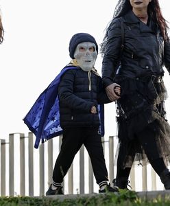 Tragedia na jarmarku halloweenowym w USA. Runęło potężne drzewo