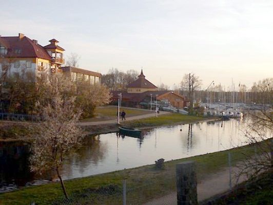 Obraz