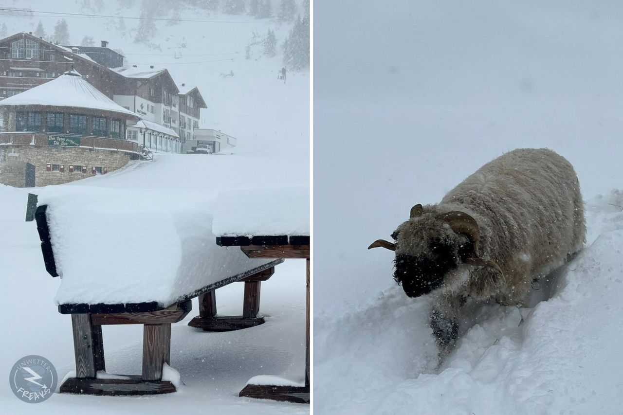 Austria under snow. Paralysis on roads and railways