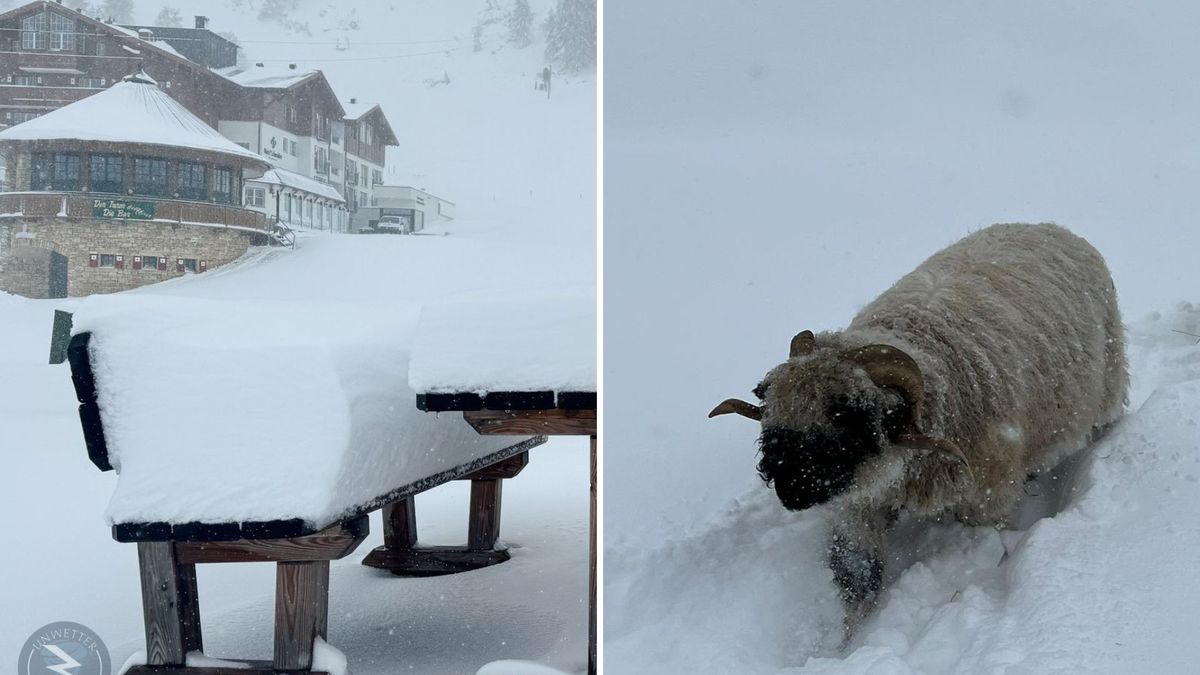 Austria pod śniegiem. Paraliż na drogach i kolei