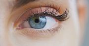 Krzyżówka o oczach. Myślisz, że wiesz wszystko o wzroku?