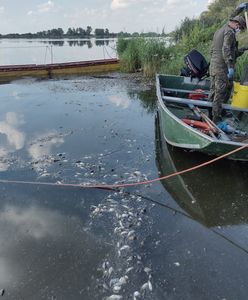 "Słoiki zaczęły buzować". Ludzie mówią, co naprawdę dzieje się nad Odrą