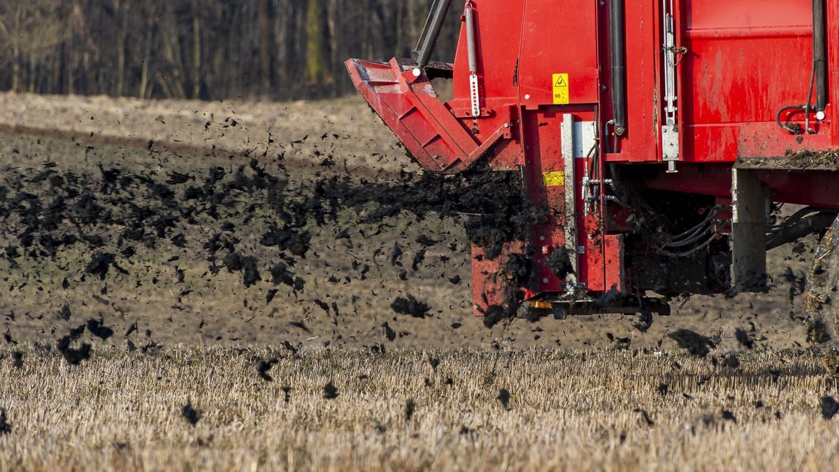 Można już nawozić obornikiem 