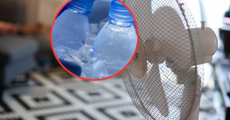Postaw przed wentylatorem. Działa cuda w czasie upałów