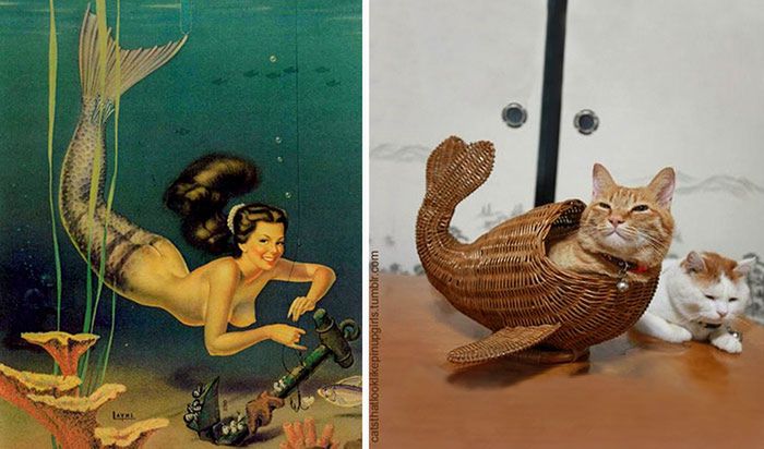 Koty, które pozują jak dziewczyny pin-up z dawnych amerykańskich plakatów 2