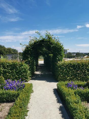 Ogród Botaniczny w Kielcach zachwyca kolorami i... sztuką. Wyjątkowe dzieło "Karnawał w Wenecji" robi wrażenie