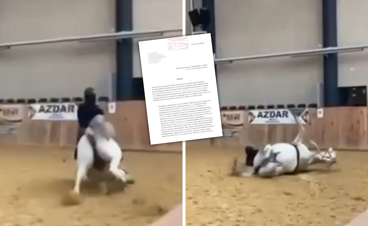 Bunt studentów hipologii, piszą do rektora. "Jesteśmy mięsem armatnim"