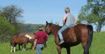 Beskid wyspowy aktywnie