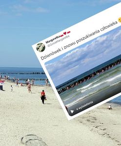 Łańcuch życia na plaży w Dziwnówku. Tłum ruszył na pomoc. Prawda okazała się inna