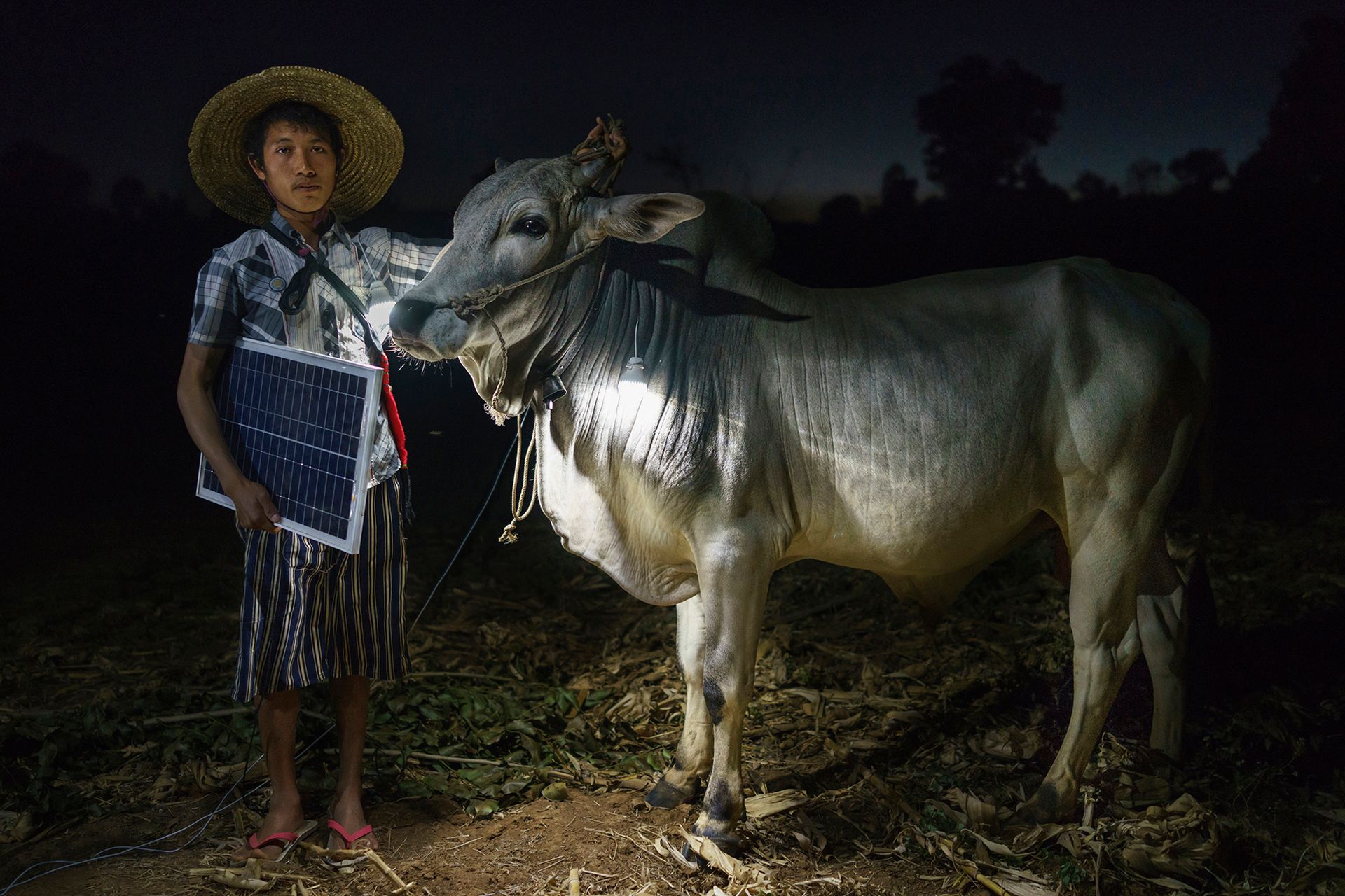 Sony World Photography Awards 2015 - galeria zwycięzców 22