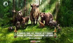 Żubr w nowej kampanii wspiera zagrożone gatunki