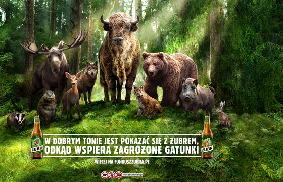 Żubr w nowej kampanii wspiera zagrożone gatunki