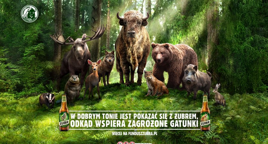 Żubr w nowej kampanii wspiera zagrożone gatunki