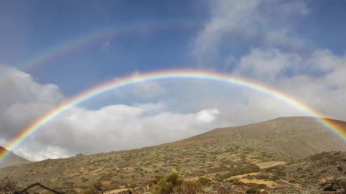 Niesamowite nagranie, ale jak najbardziej prawdziwe 1