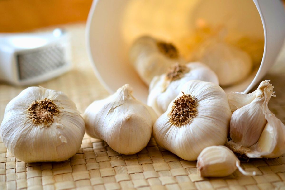 Well-stored garlic will never be bitter.