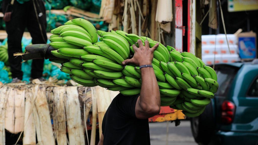 Ekwador to światowa potęga w eksporcie bananów. Rosja uderzyła w czuły punkt rządu w Quito