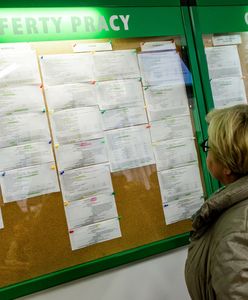 Im roboty nie zabiorą roboty. Eksperci podają bezpieczną listę