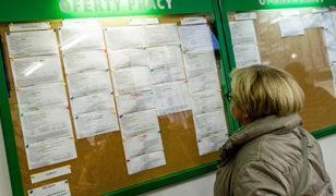 Im roboty nie zabiorą roboty. Eksperci podają bezpieczną listę