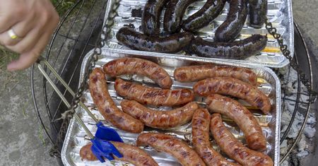 Wielu nie zna ich zastosowania. Bez zastanowienia lądują na grillu