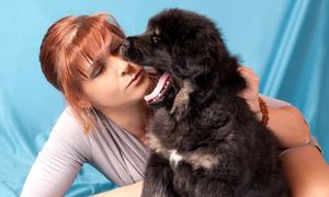 Pies ziewa? Chce przekazać ważny komunikat