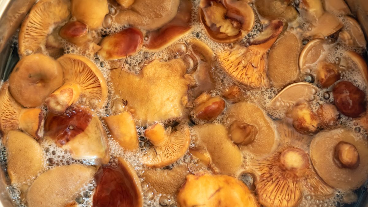 Ile gotować grzyby?