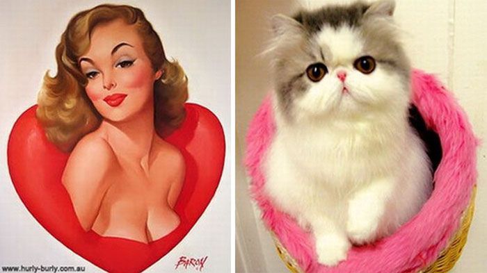 Koty, które pozują jak dziewczyny pin-up z dawnych amerykańskich plakatów 18