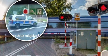 Ręce opadają. Straż miejska za rogatką. Oczywiście "to nie tak, jak myślicie"
