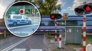 Ręce opadają. Straż miejska za rogatką. Oczywiście "to nie tak, jak myślicie"