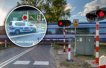 Ręce opadają. Straż miejska za rogatką. Oczywiście "to nie tak, jak myślicie"