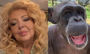 Internautka subtelnie o wydatnych ustach Magdy Gessler: "WARY jak u szympansa". Restauratorka pospieszyła z OSTRĄ ripostą