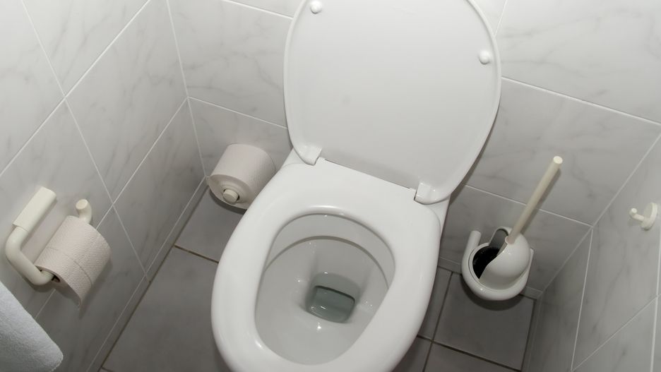 Toilet viewtoilet, piss, wc, loo, closet, water, toilette, man, white, publ, toilet, piss, wc, loo, closet, water, toilette, man, white, public, separated, row, tiles, urine, urinal, urinals, bathroom, interior, clean, lavatory, facilities, urinate, bacteria, flush, pee, poo, hygiene, hygienic, tray, latrine, utility, woman, women, dirty, seat, piddle, restroom, washroom, house, household, home