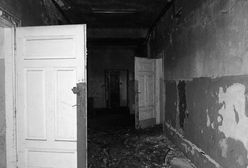 Zszedł do piwnicy i zaniemówił. Sensacyjne odkrycie